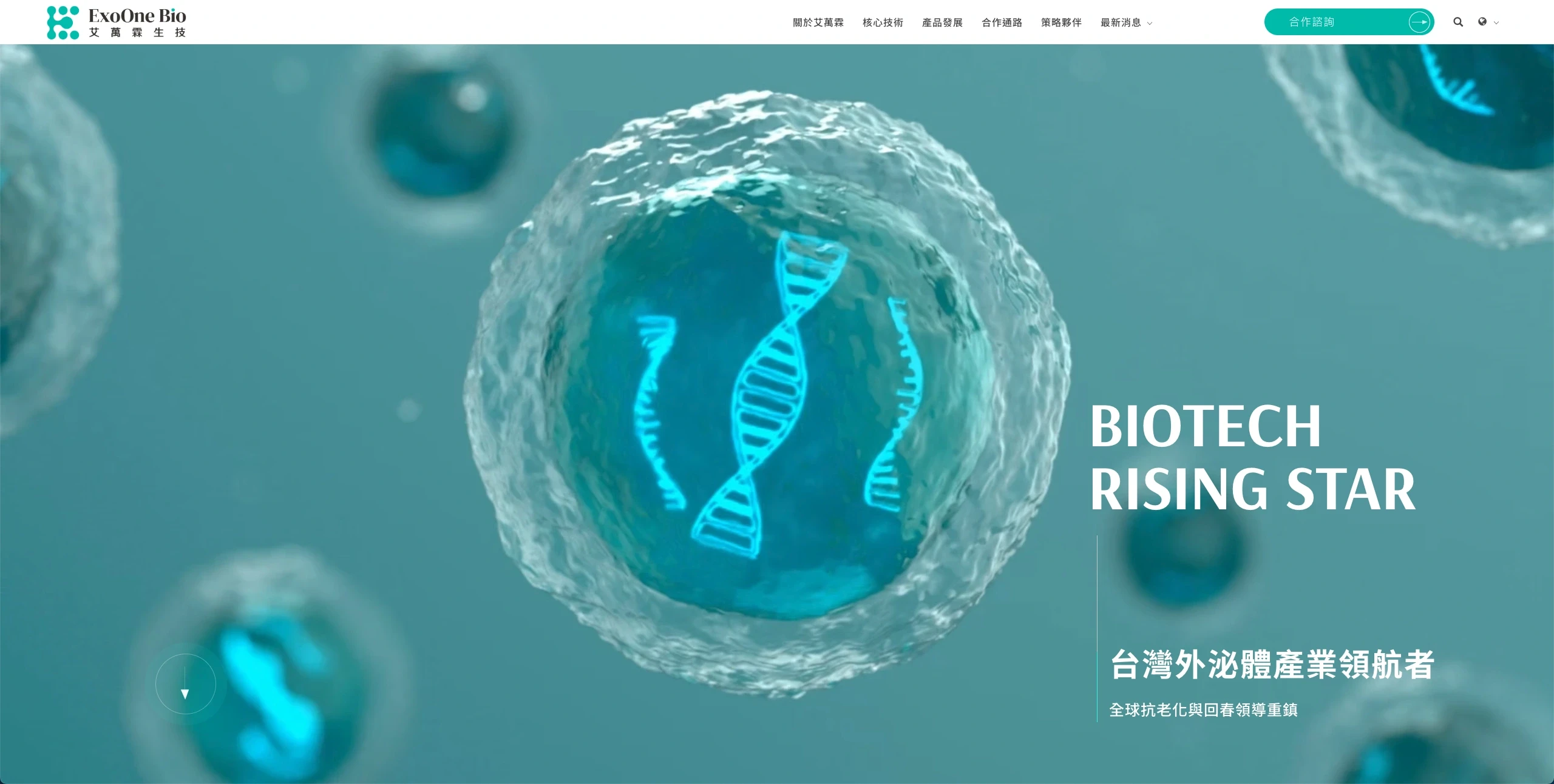 米洛替艾萬霖生技規劃的官網Banner,用「台灣外泌體產業領航者」一句話讓訪客3秒內看懂品牌定位 艾萬霖生技官網主視覺以一句定位標語講清楚品牌-如何提升網站轉換率